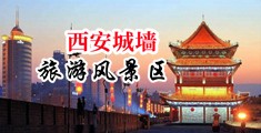 狂操美女大逼逼中国陕西-西安城墙旅游风景区