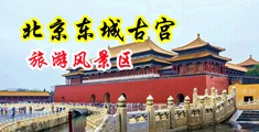 操老老太太的妣妣好爽中国北京-东城古宫旅游风景区